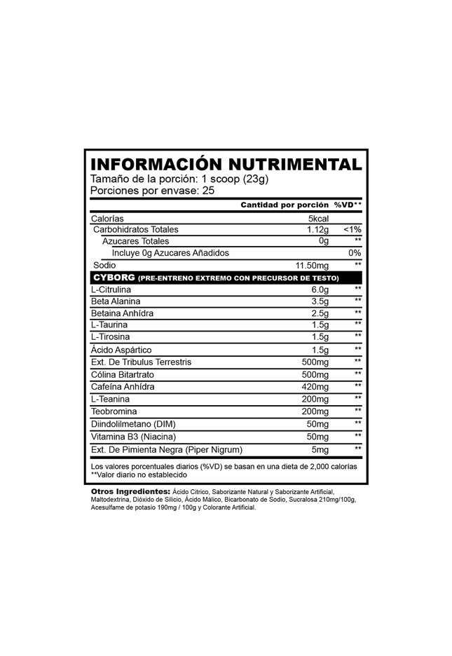 CYBORG I 25 Servicios