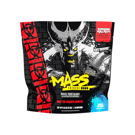 MASS EXTREME 2500 I 6lbs